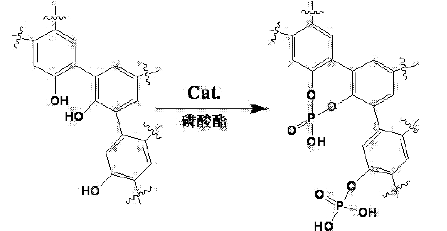 反应釜中加入1,3,5_三苯基苯和含羟基芳香化合物,以及二甲氧基甲烷