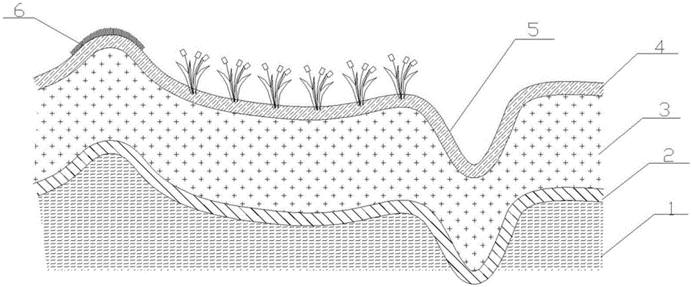 河床结构图图片